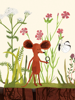 小老鼠的百科全书.Little Mouse’s Encyclopedia