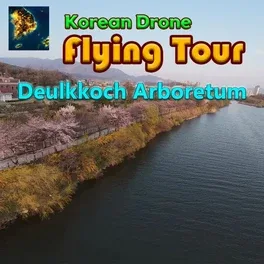 韩国无人机飞行:游览野花树木园.Korean Drone Flying Tour Deulkkoch Arboretum