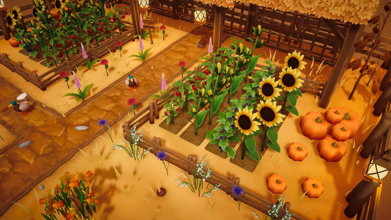 浪漫满地.Cozyrama_2