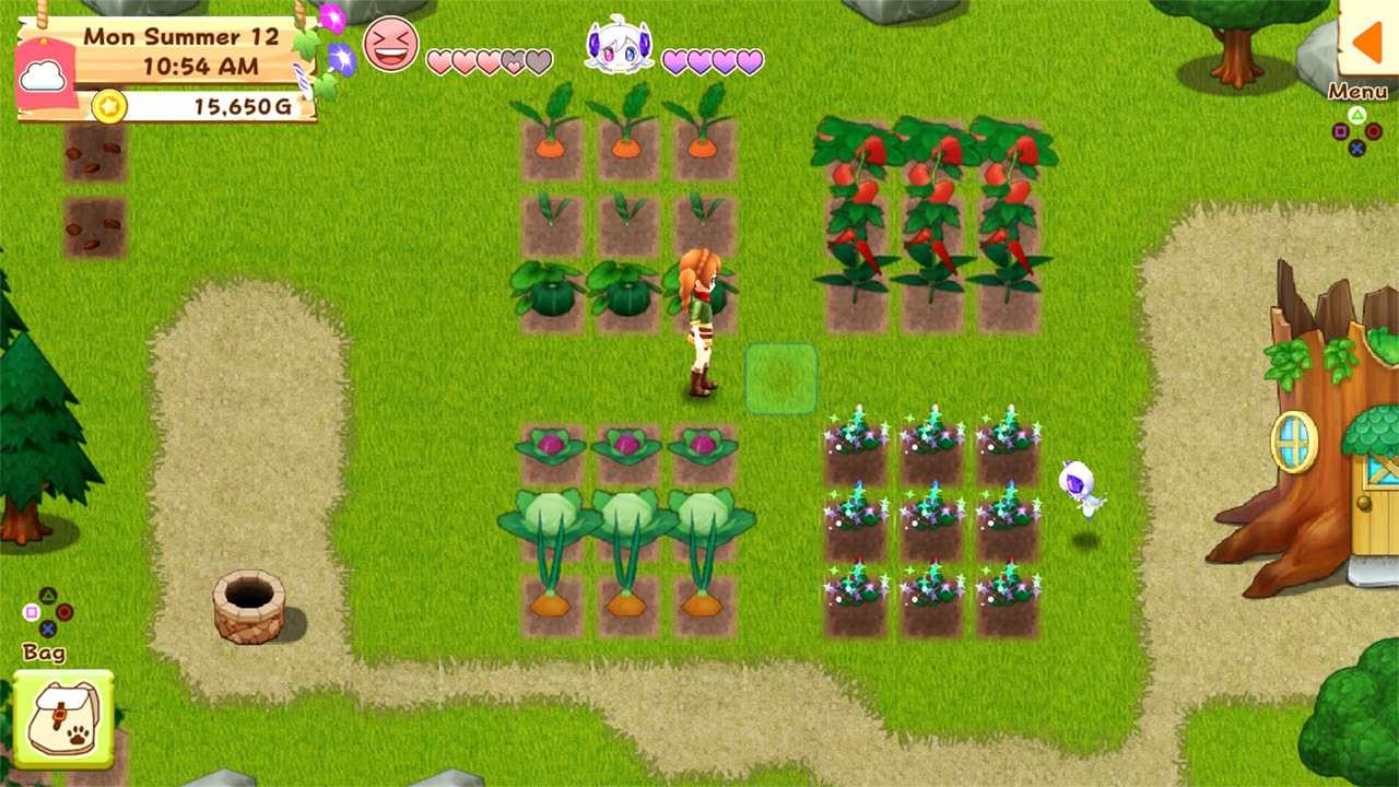 牧场物语：希望之光 特别版.Harvest Moon: Light of Hope Special Edition_0