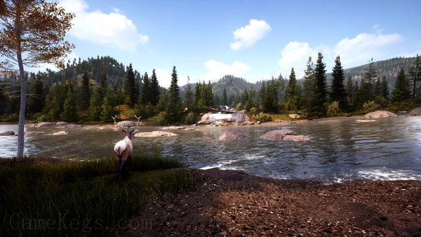 狩猎模拟2.Hunting Simulator 2_0