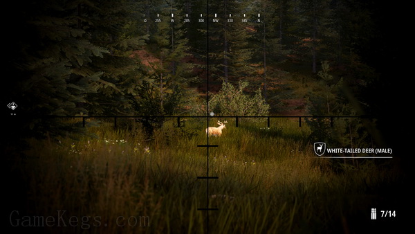 狩猎模拟2.Hunting Simulator 2_3