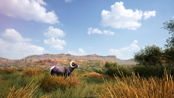 狩猎模拟2.Hunting Simulator 2_4