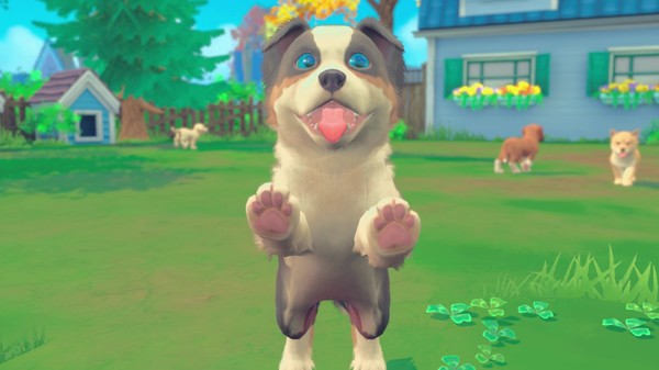 我的领域：小猫小狗.My Universe – Puppies & Kittens_3