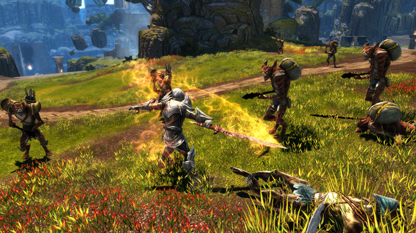 阿玛拉王国：惩罚 – 命运版.Kingdoms of Amalur: Re-Reckoning FATE Edition_5