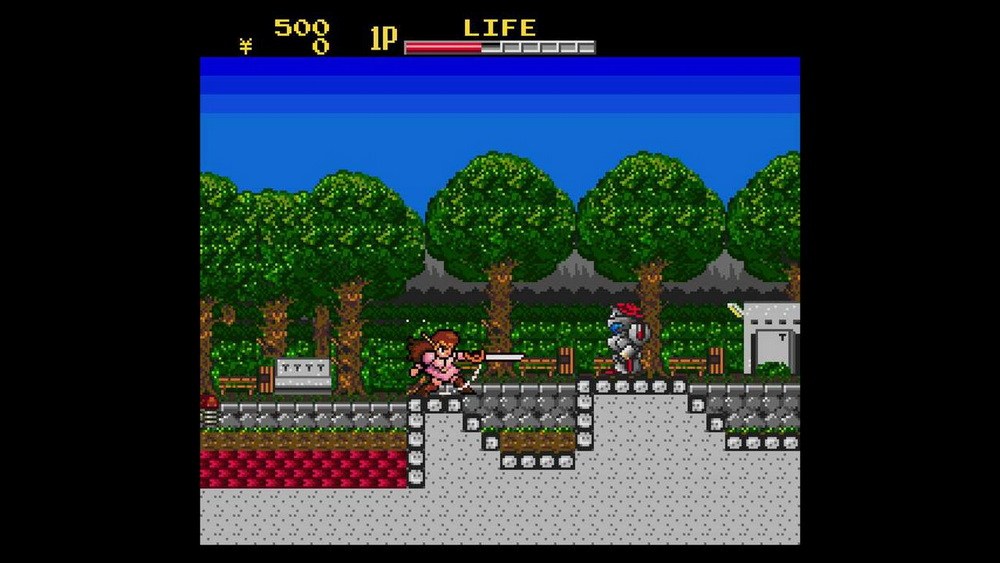 Remodeled Townsman Shubibinman_0
