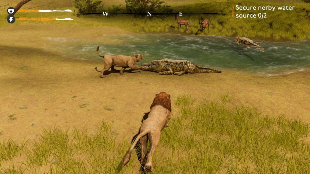 狮子生存模拟器:RPG动物大战.Lion Simulator Survival: RPG Animal Battle_2