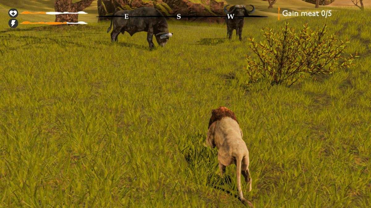 狮子生存模拟器:RPG动物大战.Lion Simulator Survival: RPG Animal Battle_5