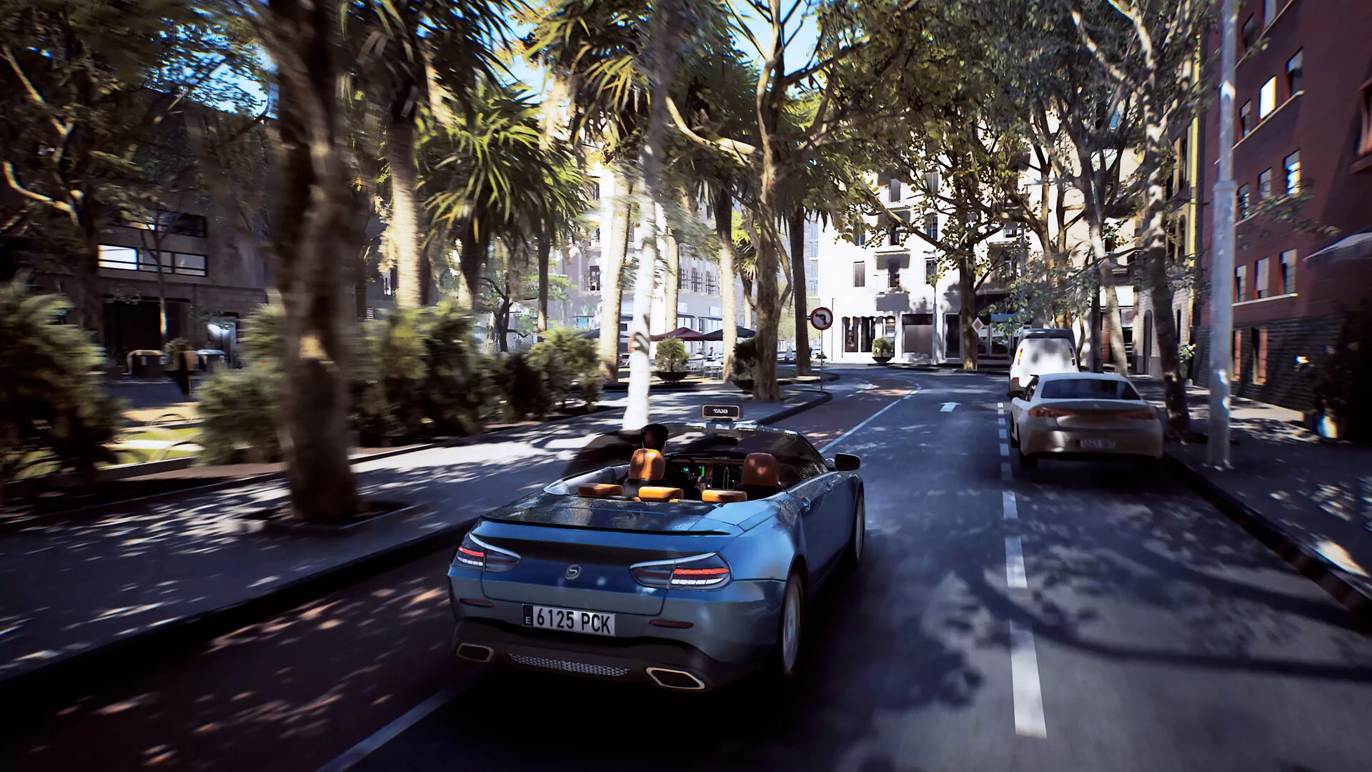 出租生涯：模拟城市驾驶.Taxi Life: A City Driving Simulator_2