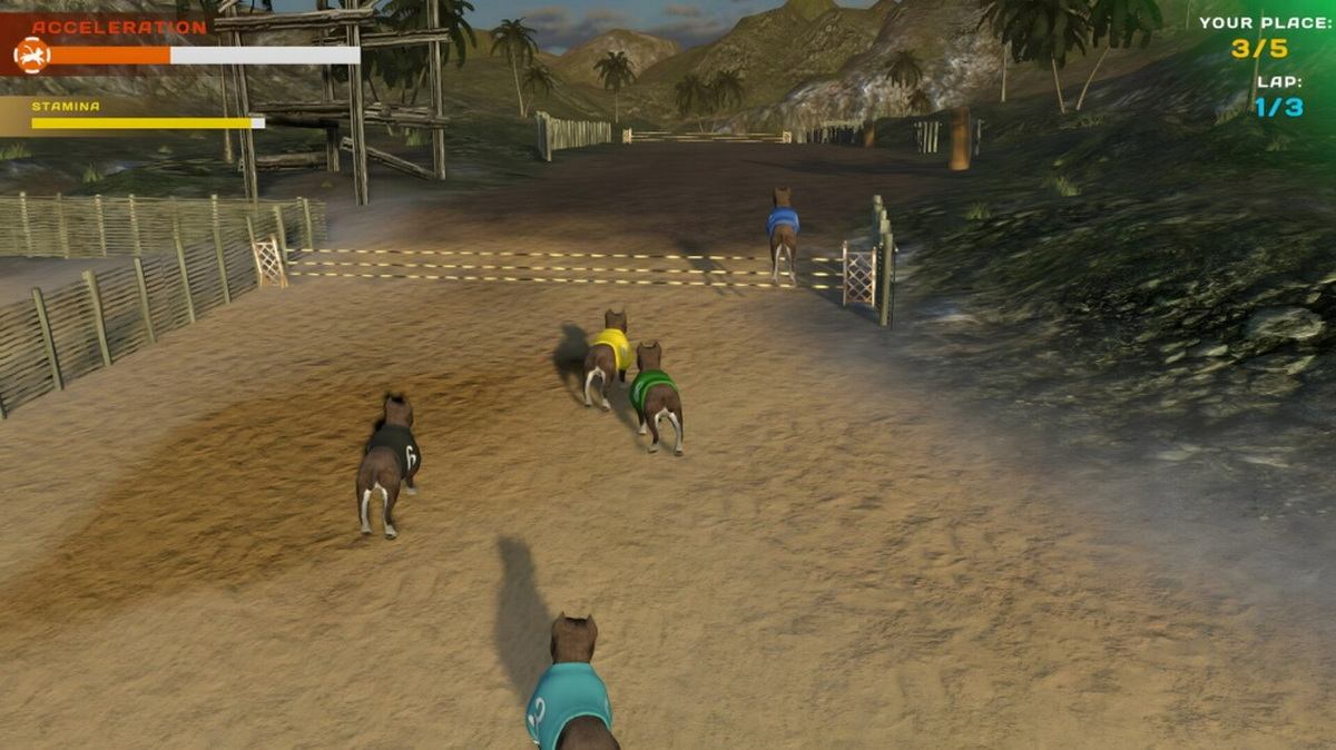 狗狗比赛：可爱爪爪朋友.Dog Racing: Lovely Pet Friends Paw_0