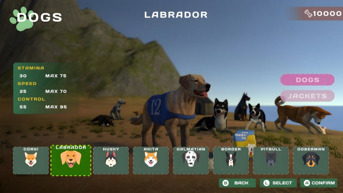 狗狗比赛：可爱爪爪朋友.Dog Racing: Lovely Pet Friends Paw_1