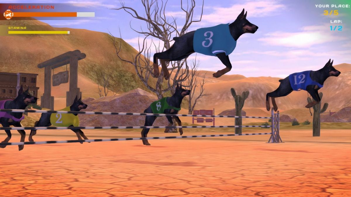 狗狗比赛：可爱爪爪朋友.Dog Racing: Lovely Pet Friends Paw_3
