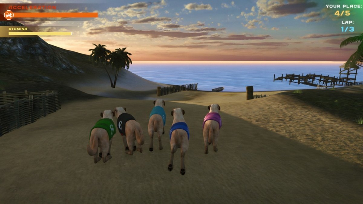 狗狗比赛：可爱爪爪朋友.Dog Racing: Lovely Pet Friends Paw_4