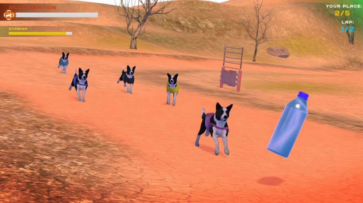 狗狗比赛：可爱爪爪朋友.Dog Racing: Lovely Pet Friends Paw_5