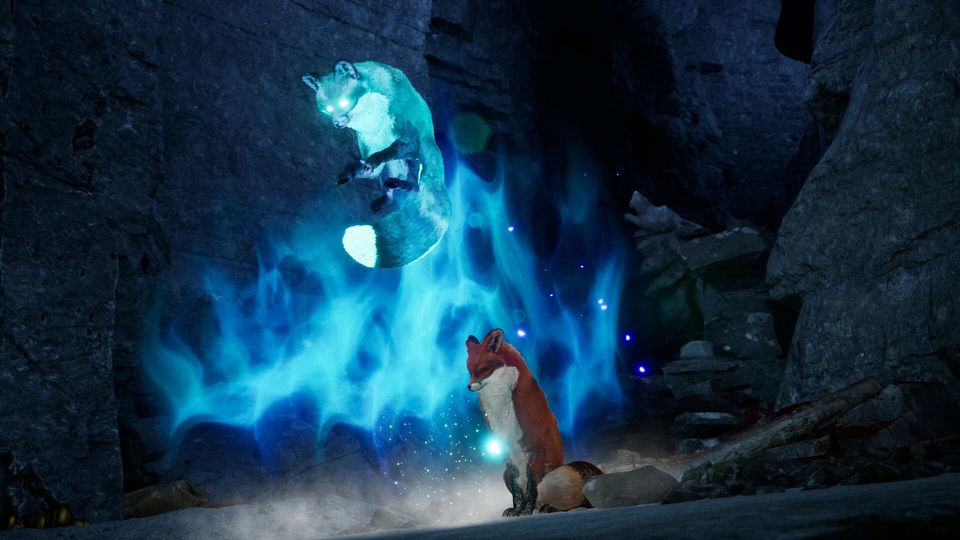 北方之灵2.Spirit of the North 2_0