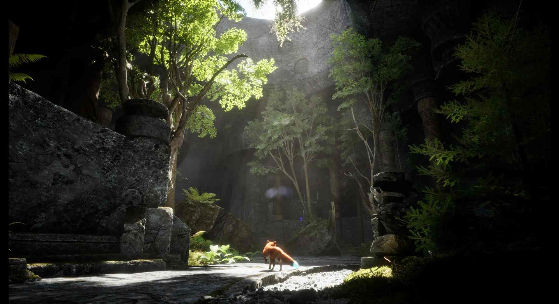 北方之灵2.Spirit of the North 2_2