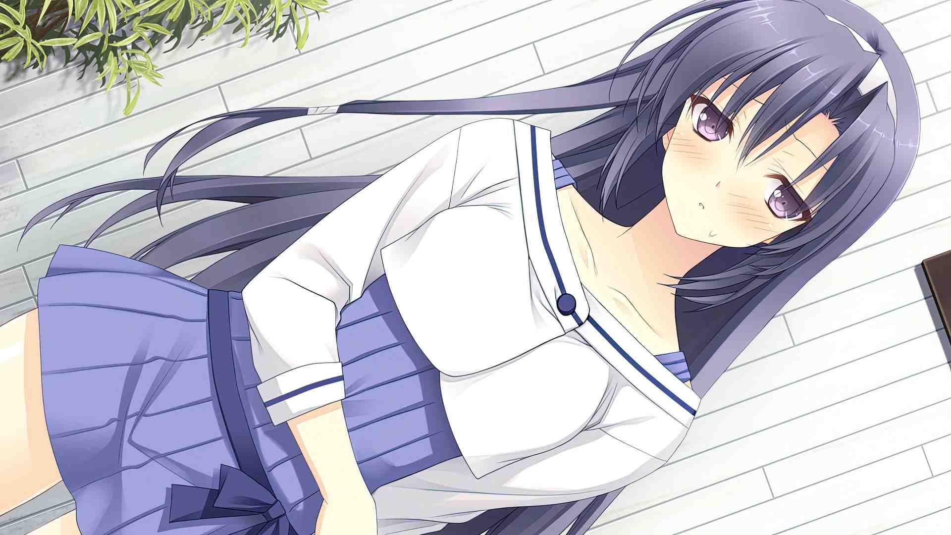 近月少女的礼仪.Tsuki ni Yorisou Otome no Sahou_1
