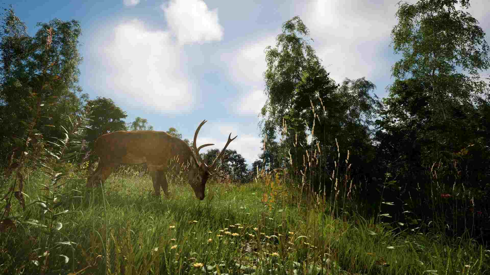 恐惧地带.Dreadzone_3