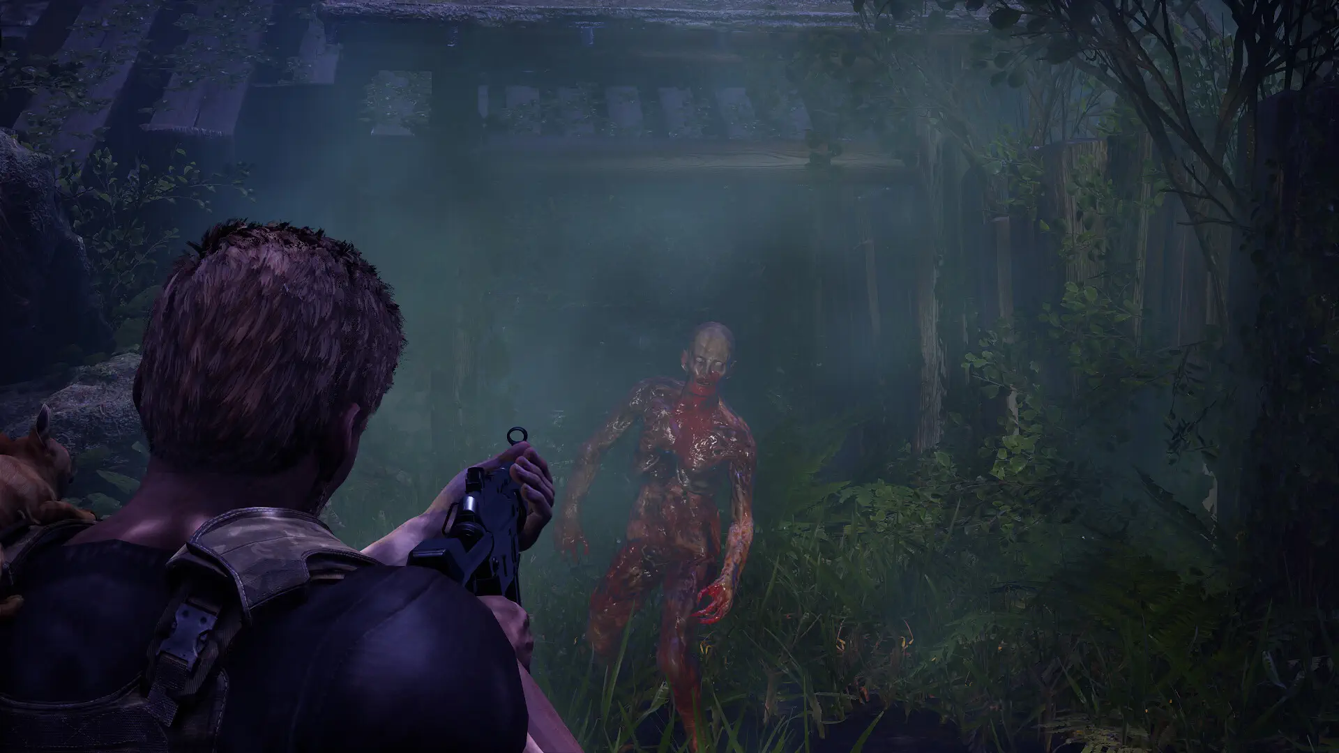 腐烂Z：起源.DecayZ Origin_0