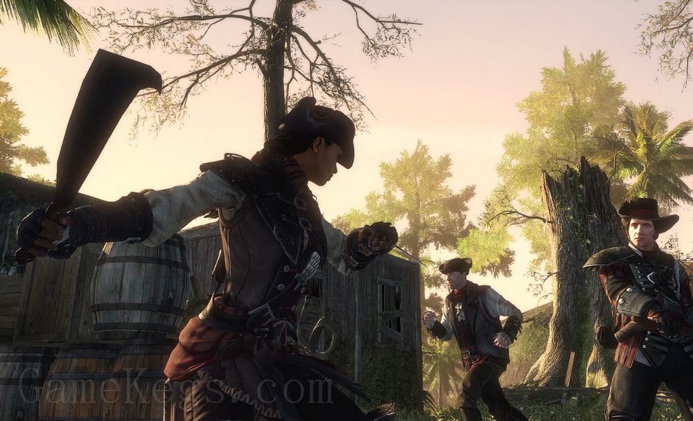 刺客信条3：解放.Assassins Creed Liberation HD_4