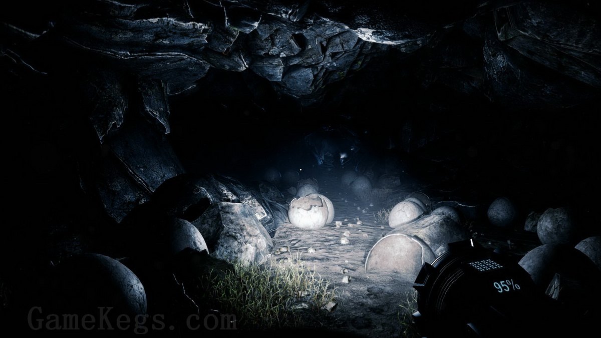 独自一人.The Solus Project_4